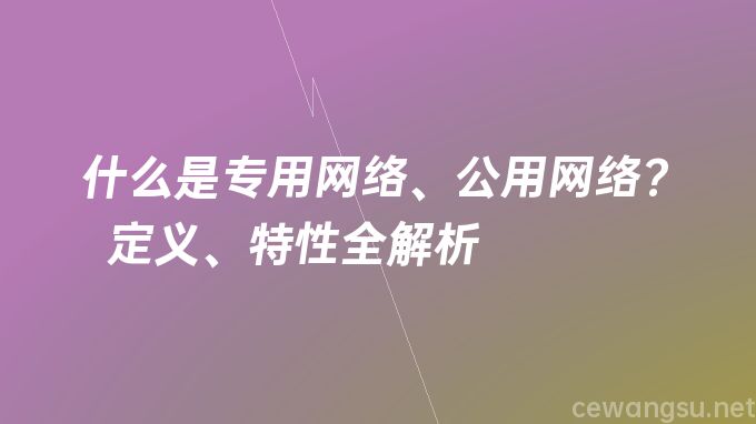 什么是专用网络、公用网络？定义、特性全解析